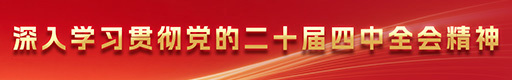 深入学习贯彻党的二十届四中全会精神