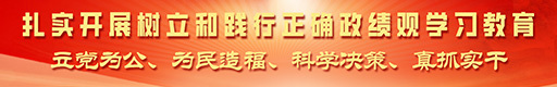 扎实开展树立和践行正确政绩观学习教育
